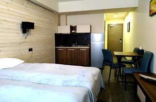 Отель Gudauri Hills Apart Hotel Гудаури Стандартный двухместный номер с 1 кроватью или 2 отдельными кроватями-4